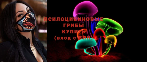 спиды Мегион