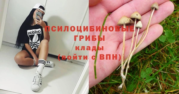 синтетический гашиш Алексин